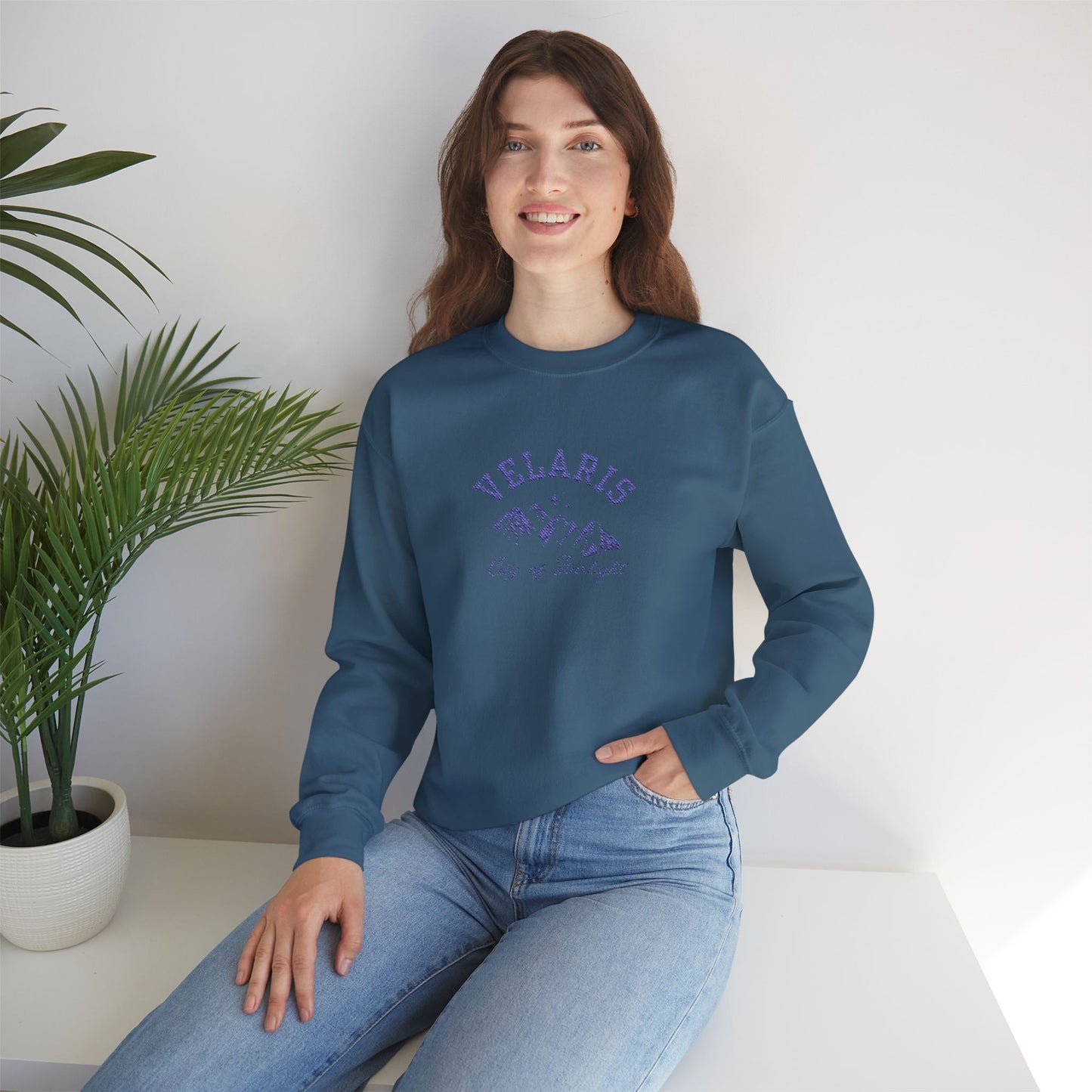 Velaris City of Starlight - Navy Emboridery ACOTAR Embroidered Crewneck Sweatshirt